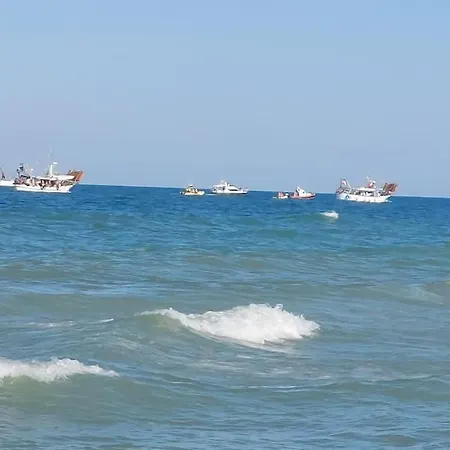 Mare 39